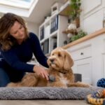 Woman preparing dog with health documents nearby